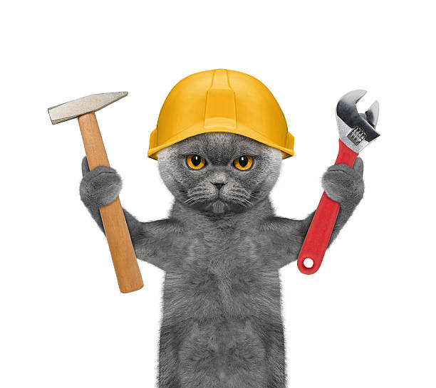 Čo sú to tie mačky? Beginner guide to CAT tools